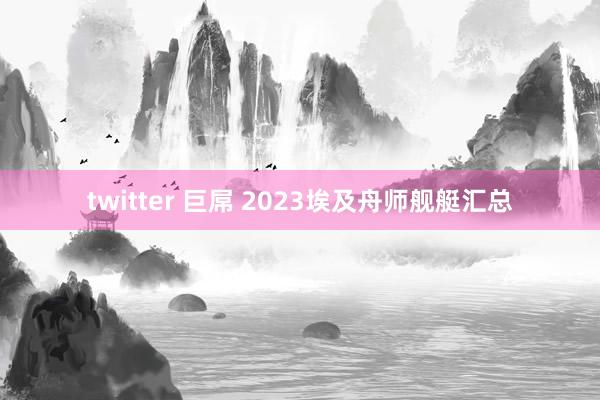 twitter 巨屌 2023埃及舟师舰艇汇总