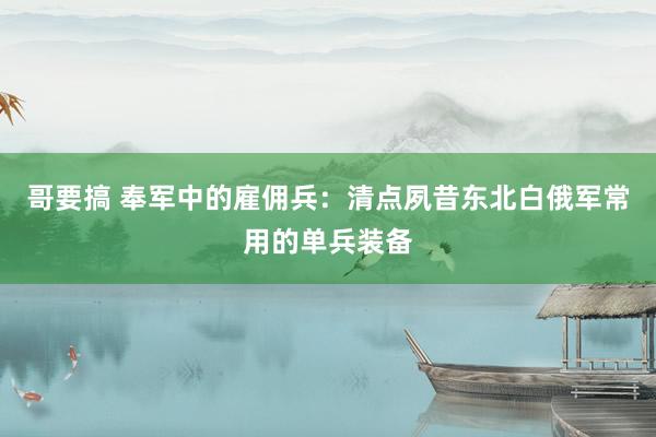 哥要搞 奉军中的雇佣兵：清点夙昔东北白俄军常用的单兵装备