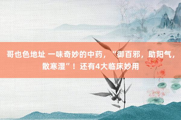 哥也色地址 一味奇妙的中药，“御百邪，助阳气，散寒湿”！还有4大临床妙用