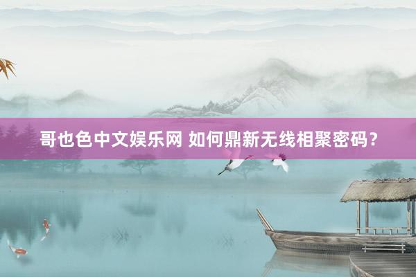 哥也色中文娱乐网 如何鼎新无线相聚密码？