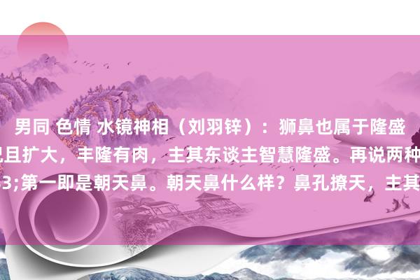 男同 色情 水镜神相（刘羽锌）：狮鼻也属于隆盛鼻。狮鼻即是鼻子横况且扩大，丰隆有肉，主其东谈主智慧隆盛。再说两种劳苦鼻。&#183;第一即是朝天鼻。朝天鼻什么样？鼻孔撩天，主其东谈主漏财，清寒况且性淫。&#183;鹰嘴鼻即是鼻子尖细