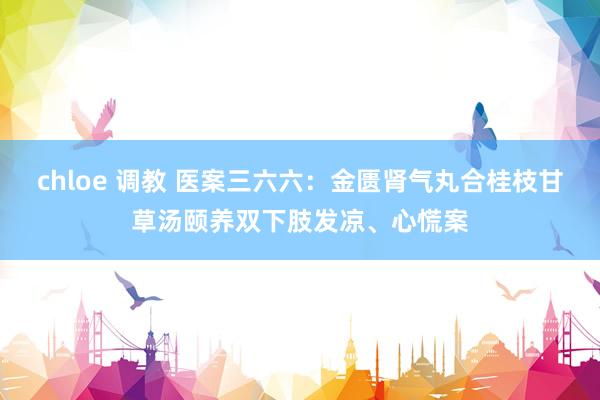 chloe 调教 医案三六六：金匮肾气丸合桂枝甘草汤颐养双下肢发凉、心慌案