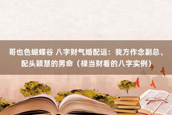 哥也色蝴蝶谷 八字财气婚配运：我方作念副总、配头颖慧的男命（禄当财看的八字实例）